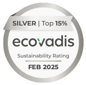 DMEGC Bi-facial transparent 500W